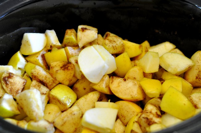 Crockpot apple sauce recipe